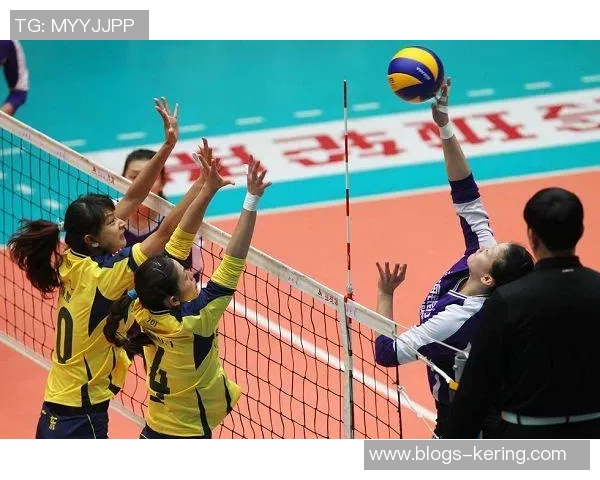 广东恒大女排对决天津女排激烈角逐引发球迷热情高涨